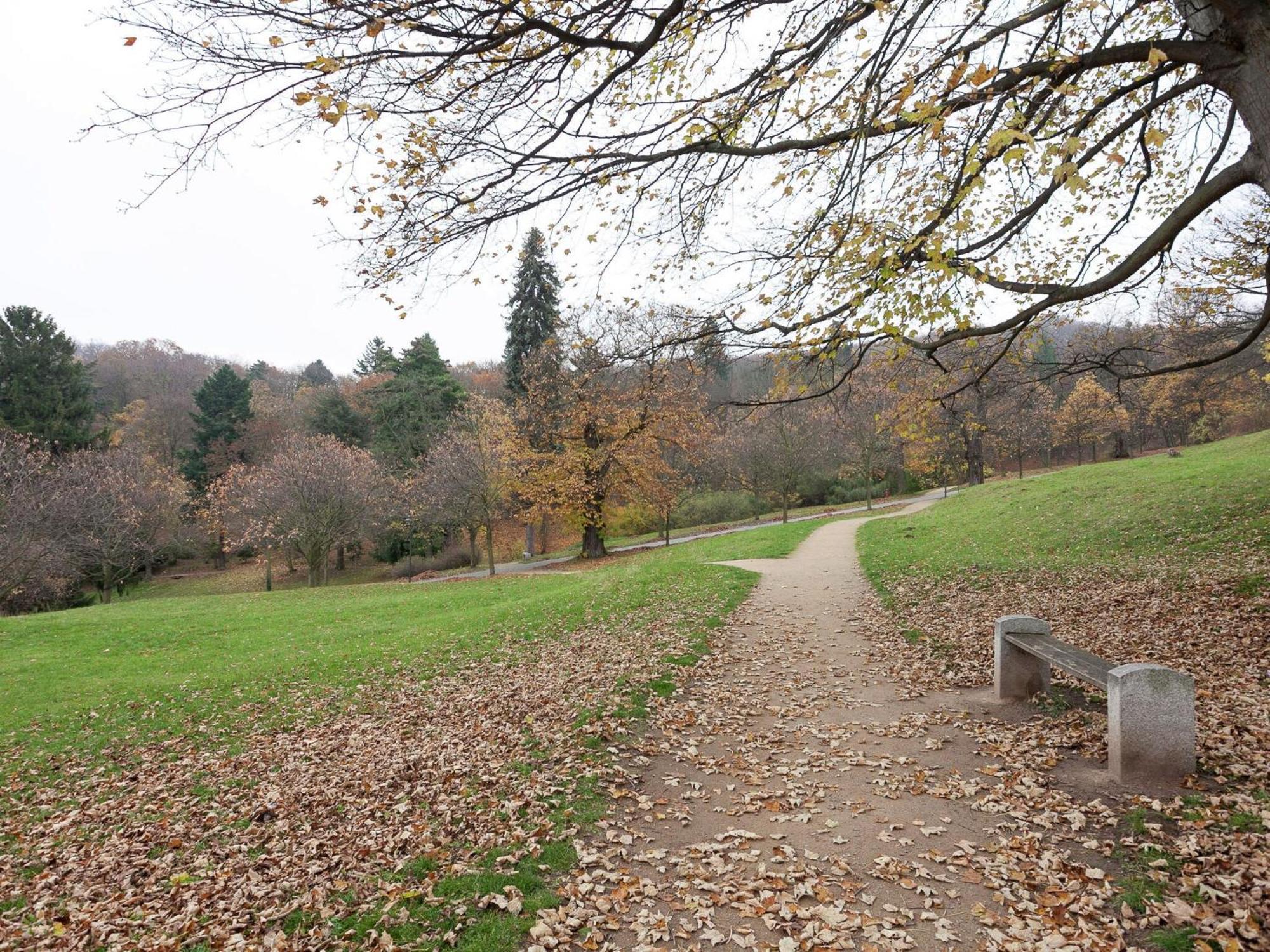 Beautiful Apartment In D Rnthal Near The Forest Voigtsdorf Екстериор снимка